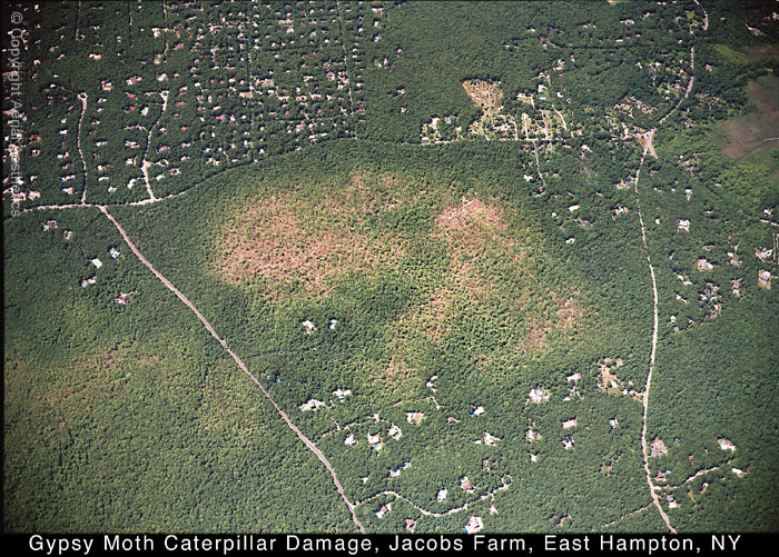 39-020632-0419