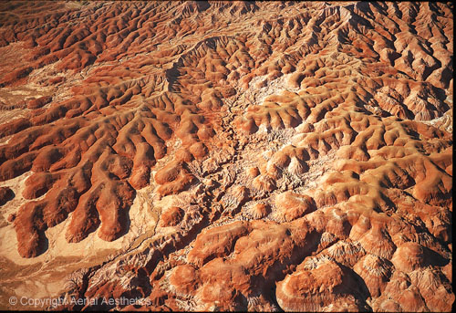 950902-0203